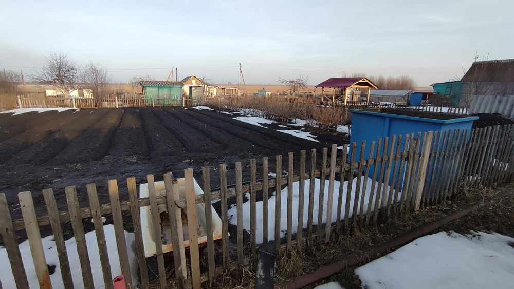 Дача в обществе Ромашка