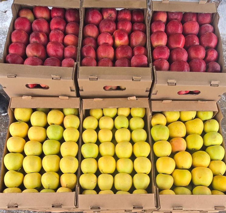 Фрукты овощи оптовые цены