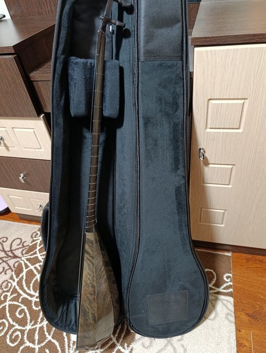 Профессионалды домбыра