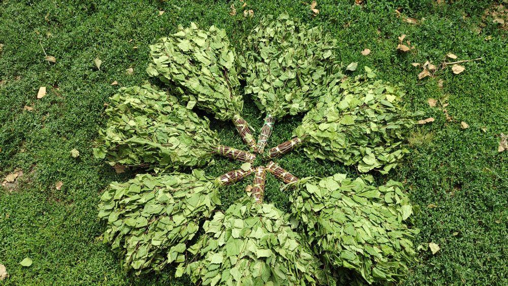 Веники берёзовые