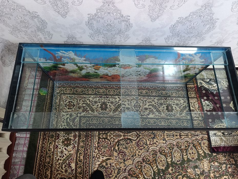 Akvarium 60/120razmer 350litrlik