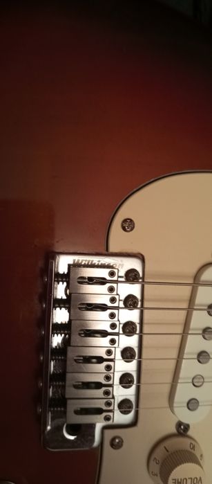 Электрогитара Fernandes Special Edition