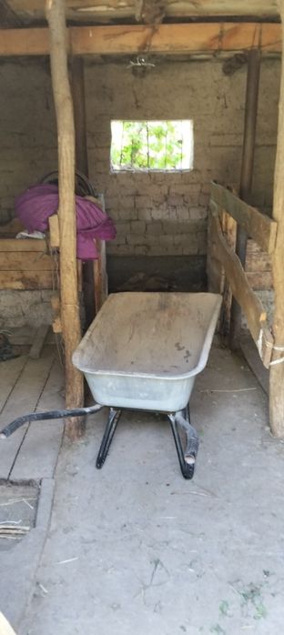 Срочно сатылады колбастауда евгенивка