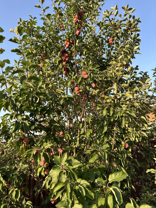 Продам  трехуровневый коттедж