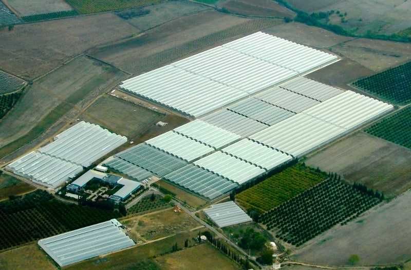 Испанские, корейские теплицы в Узбекистане