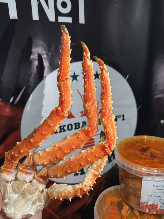 Лобстеры крабы раки креветки