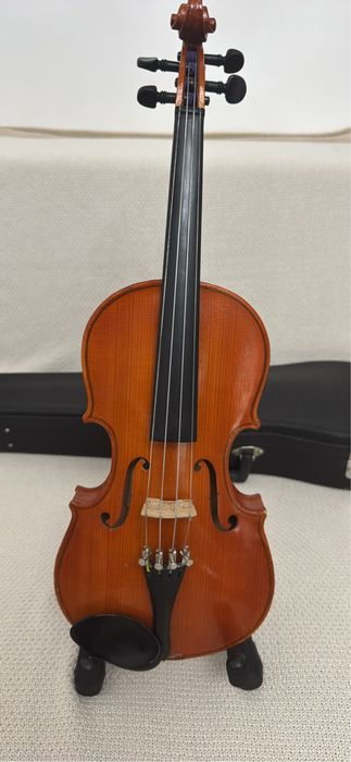 Vioara 1/2 skylark