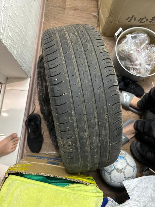 шина на 215/55 r17