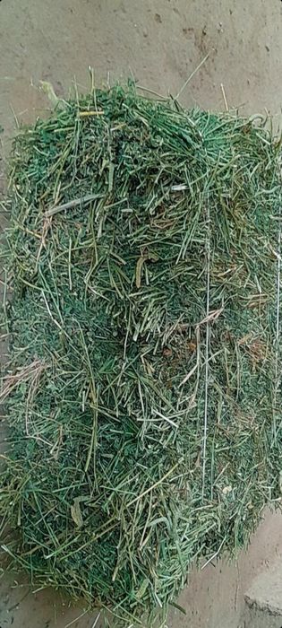 Беда пресс  сотилади