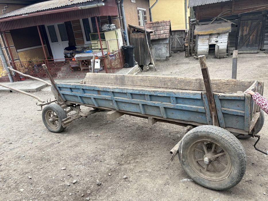 Vand caruta pentru caii