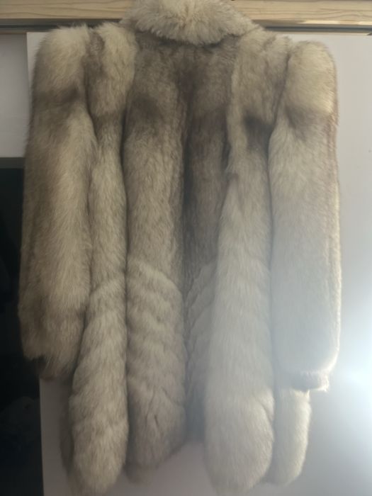 Blana vulpe argintie