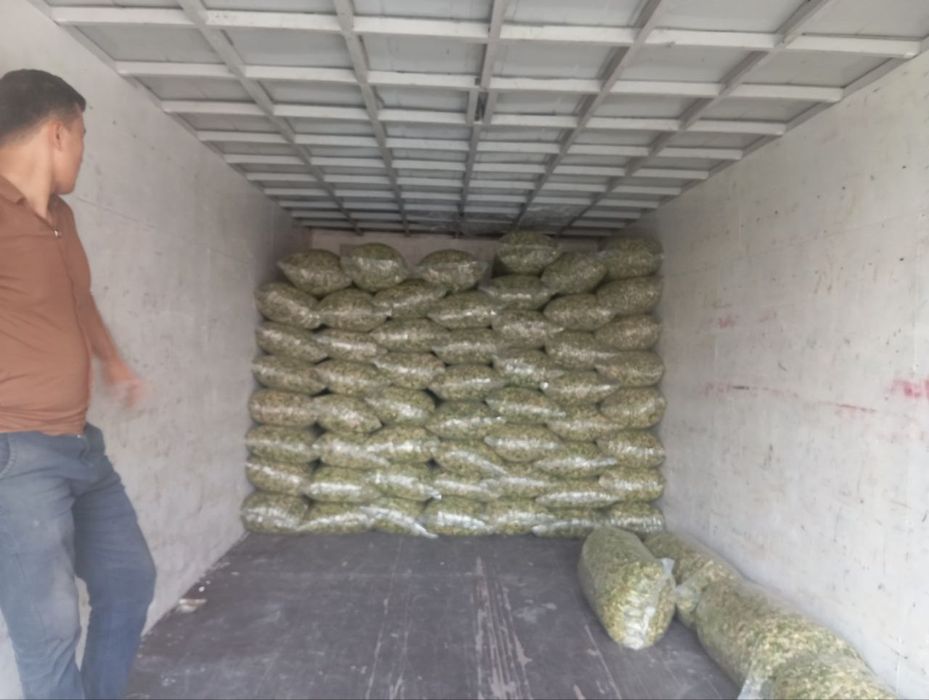 Cheklanmagan Miqdorda Silyos yetkazib beramiz