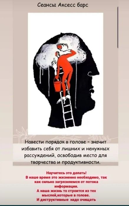 Провожу сессию Аксесс Барс