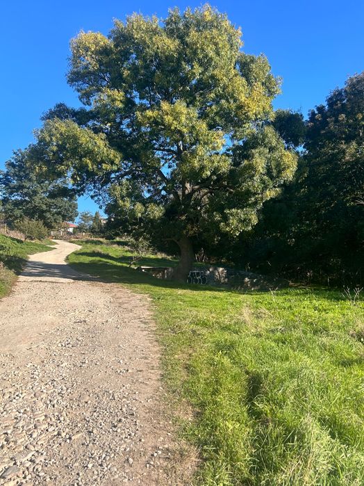 Продава се Парцел в с. Приселци, Област Варна - 653 кв.м за 40 €/кв.м - Снимка #1