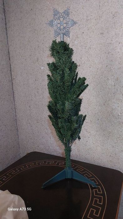 Archacha xolati yaxshi