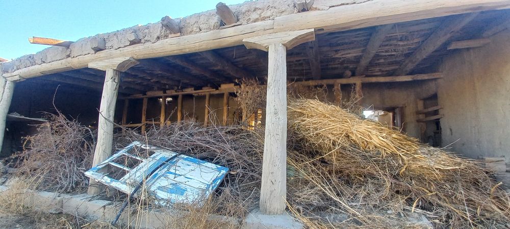 Боло харвасталар сотилади нархини келишамиз