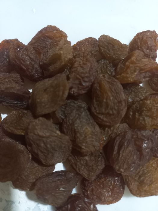 Таббий холда куритилга