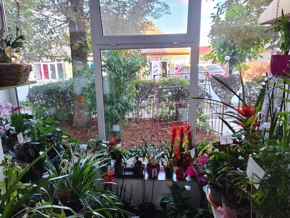 De Vânzare: Spațiu Comercial Proprietate Personală, Parter – Câmpia Turzii (Str. Gh. Barițiu)