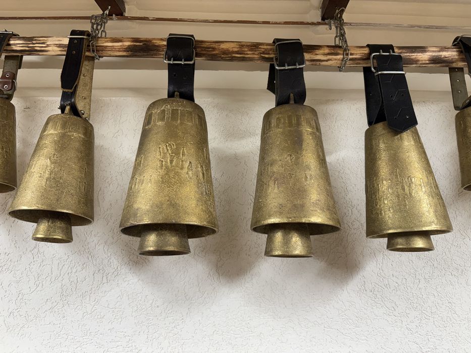 Чанове чисто нови