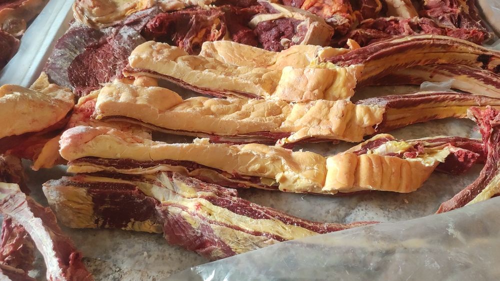 Продам согым бие