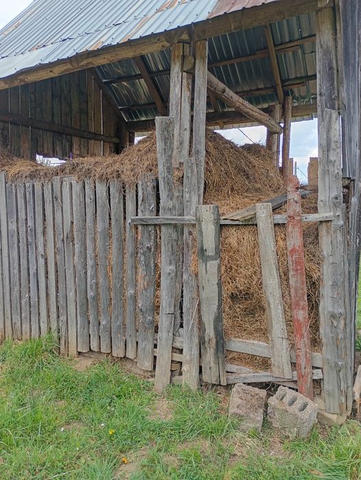 Vând fân și otavă de anul trecut