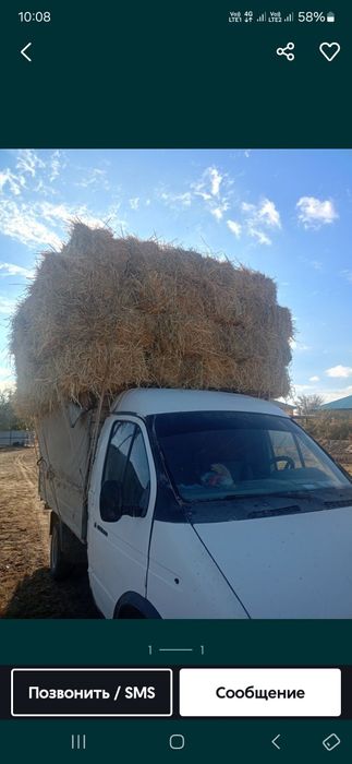 Сабан прес бар жеткізіп береміз