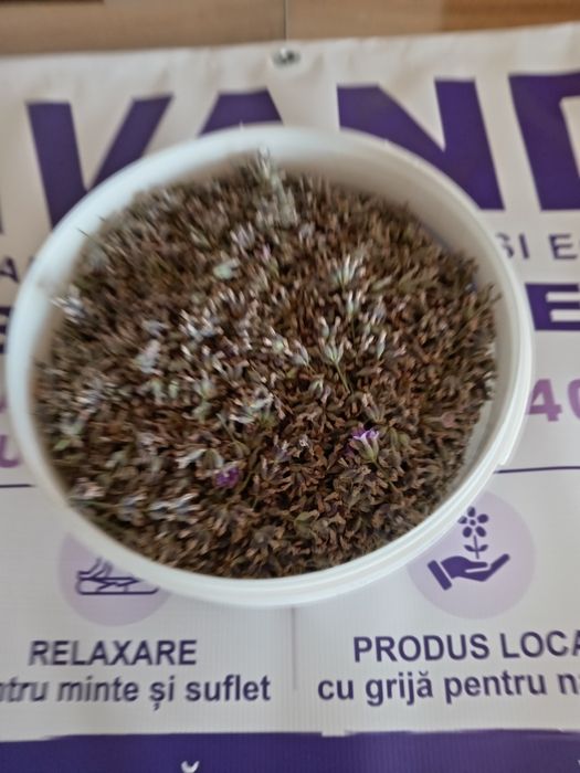 Floare de lavanda la kg