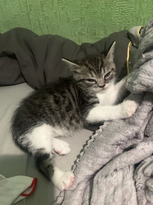 Девочка 1,5 месяца