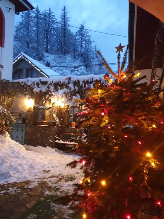 Cazare schi / DINOPARC cu vouchere vacanță