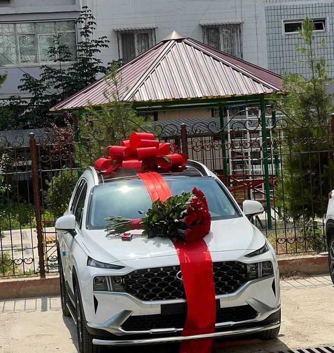 Бантик, Bantik автомобил учун.