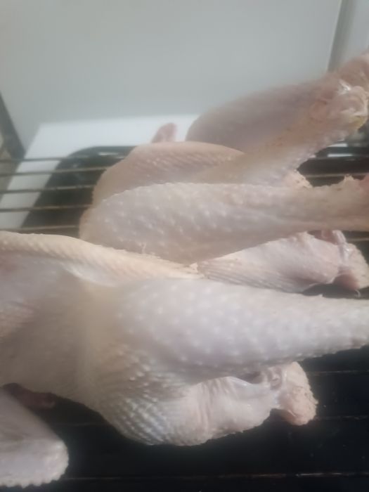 Курятина. Домашняя