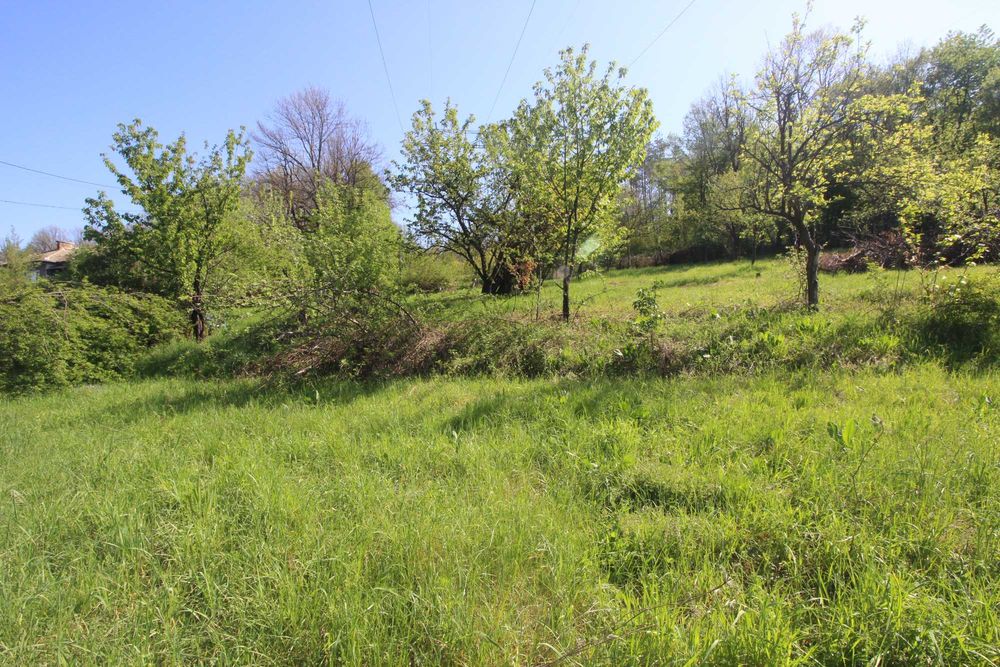 Продава се Земеделски имот в Габрово, Бичкиня -  кв.м за 5 €/дка - Снимка #4