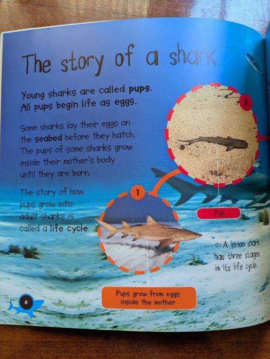 Set 2 carti in engleza din seria  Life Cycles  Fluturi si rechini