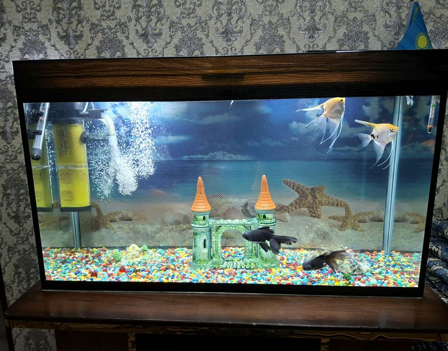 Аквариум в идеальном состоянии