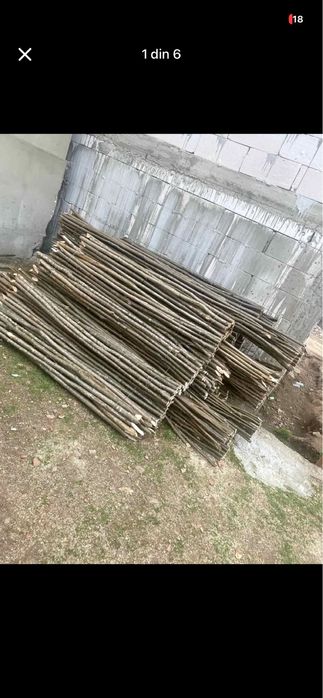 Vand  pari de rosi si de fasole