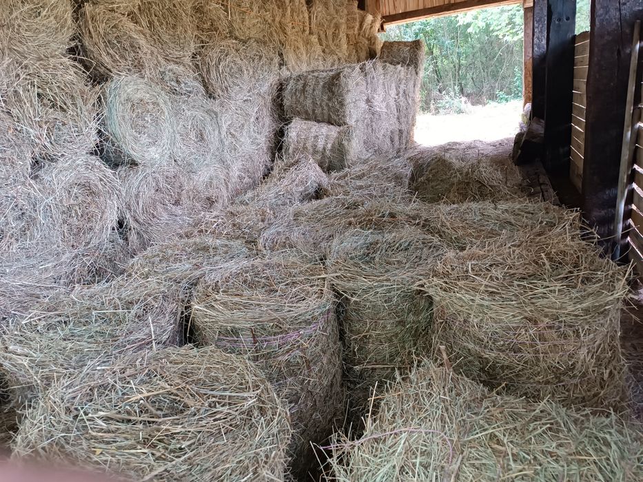 Малки ролонни бали