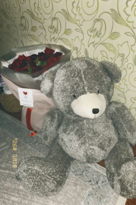 плюшевый мишка ,