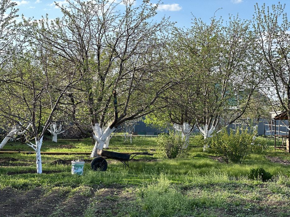 Срочно продам дом с  30 сот участоком!