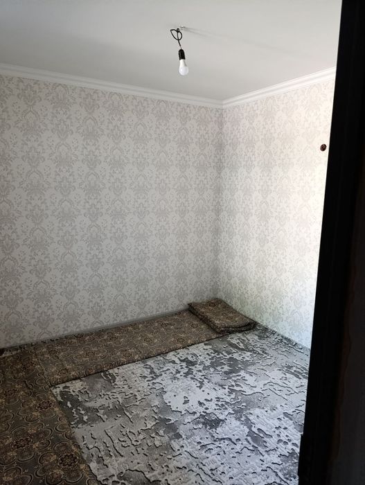 Дача, Чирчик бозсу
