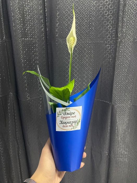 Цветы на подарок тойбастар