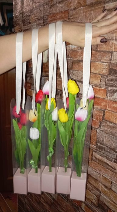 Тюльпаны район Детсад