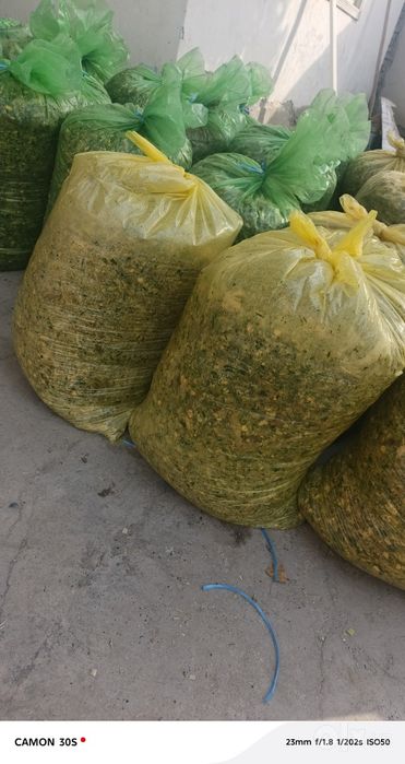 Qoplangan Silos doni zor