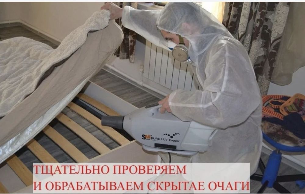 Травить клопов и тараканов