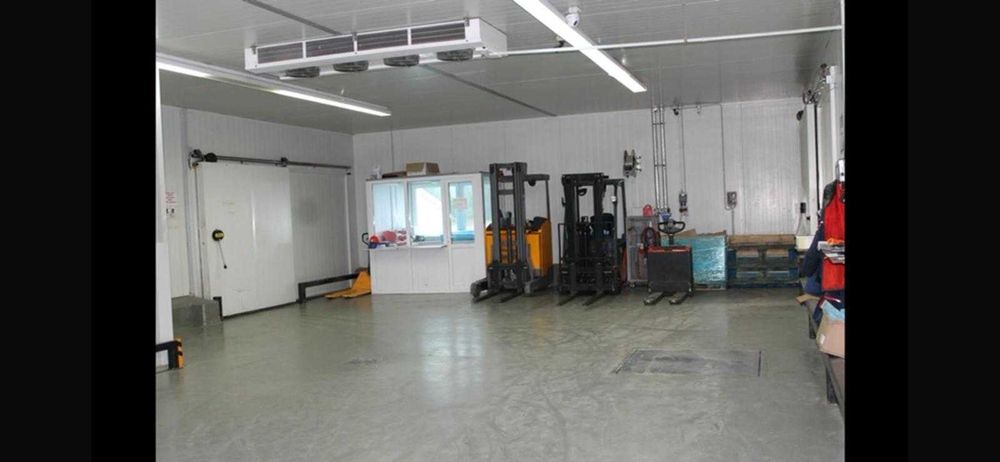 De vanzare - depozit frigorific agreat comunitar-european