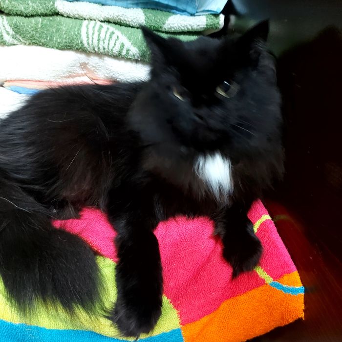 Красотка ищет своего человека