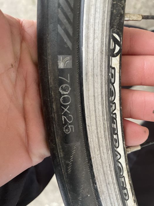 Roti cursiera bontrager