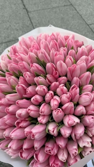 Тюльпаны предзаказ на 8март