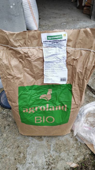 Ouă Bio proaspete