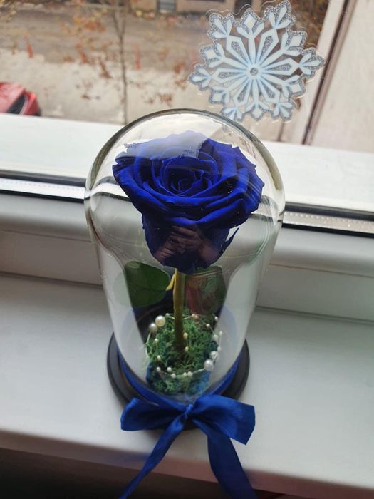 Cupola cu trandafiri criogenati conservati in cupola de sticla
