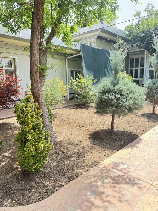 Газон готовый установка+доставка